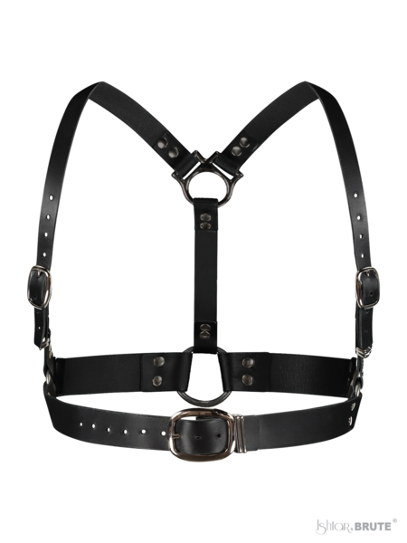 Dana Body Harness in genuine cow neck leather, front view, with adjustable buckles and heavy-duty hardware.