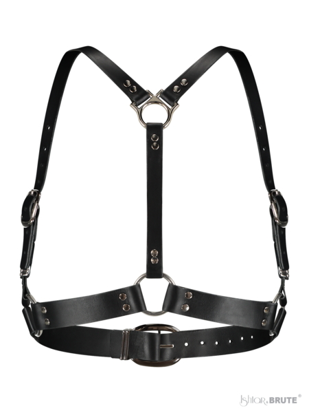 Dana Body Harness, back view, showing the adjustable buckle at the back.